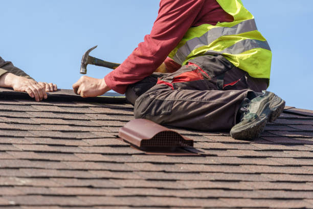 Best Local Roofing Companies  in Scotland Neck, NC