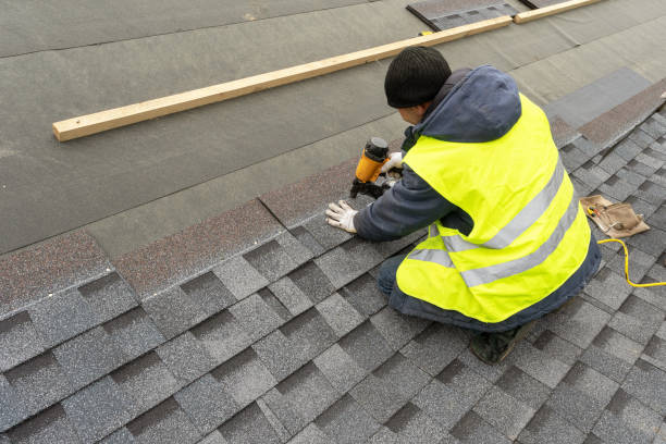 Best Roof Repair Services  in Scotland Neck, NC
