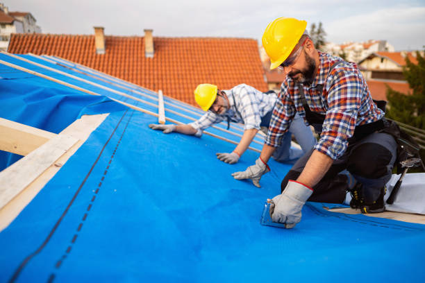 Best Flat Roof Repair Services  in Scotland Neck, NC
