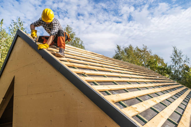 Best Roof Gutter Cleaning  in Scotland Neck, NC