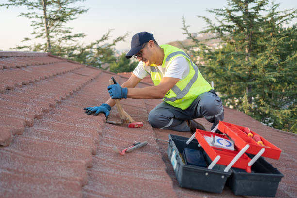 Best Flat Roof Repair Services  in Scotland Neck, NC